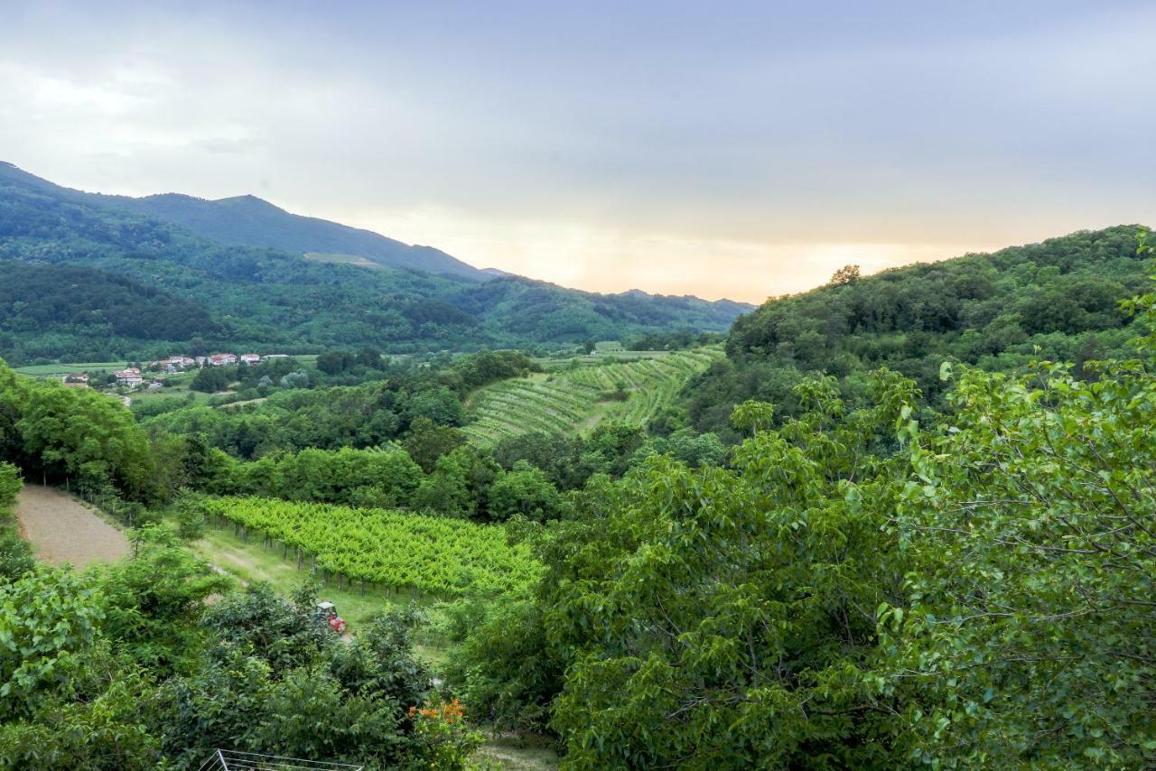Cebron Family Estate Ξενοδοχείο Branik Εξωτερικό φωτογραφία