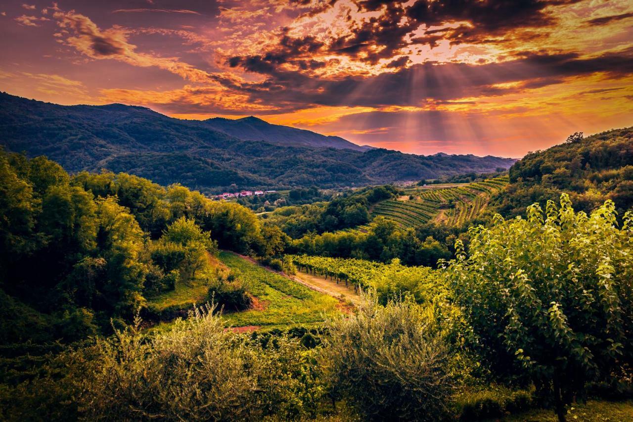 Cebron Family Estate Ξενοδοχείο Branik Εξωτερικό φωτογραφία