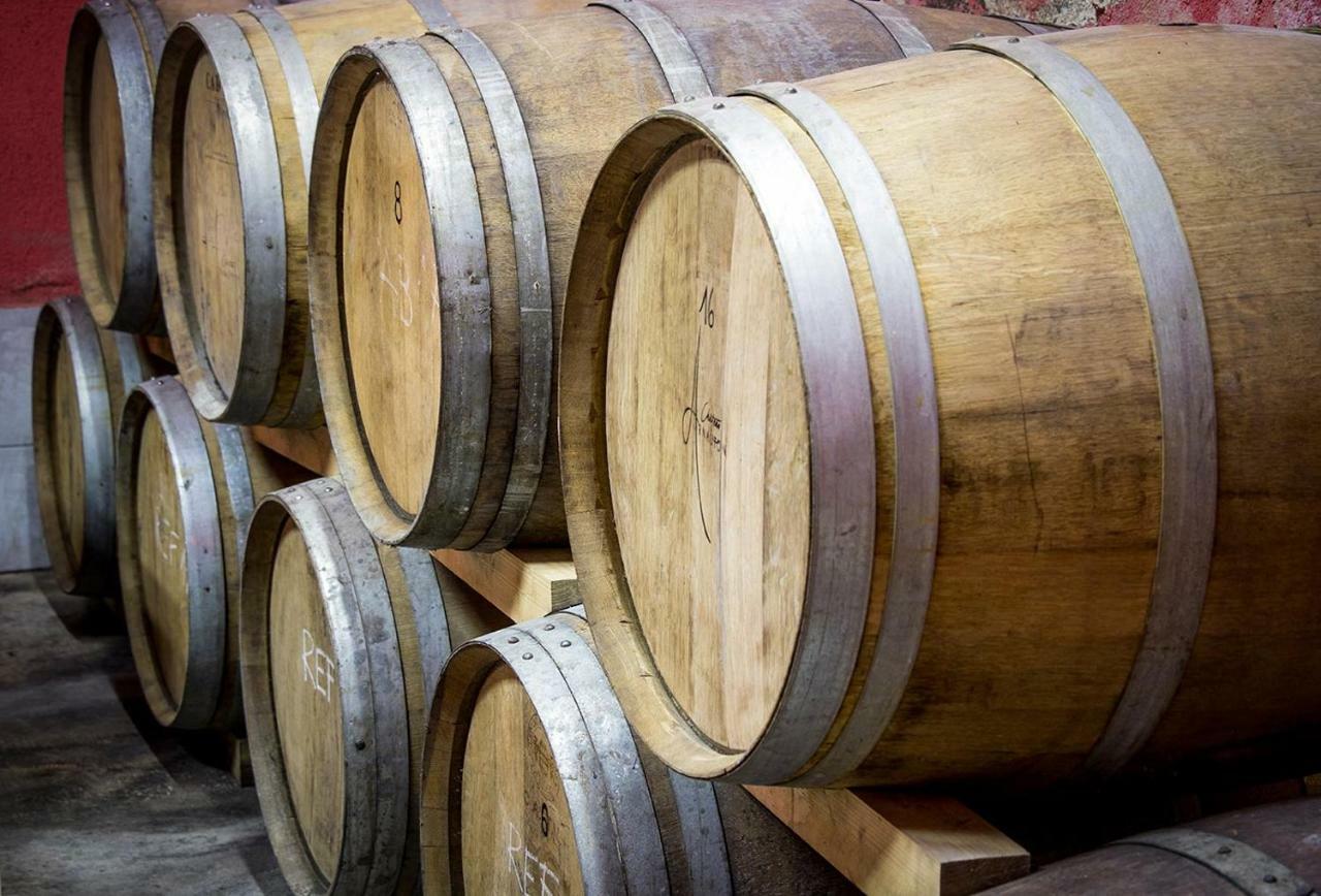 Cebron Family Estate Ξενοδοχείο Branik Εξωτερικό φωτογραφία