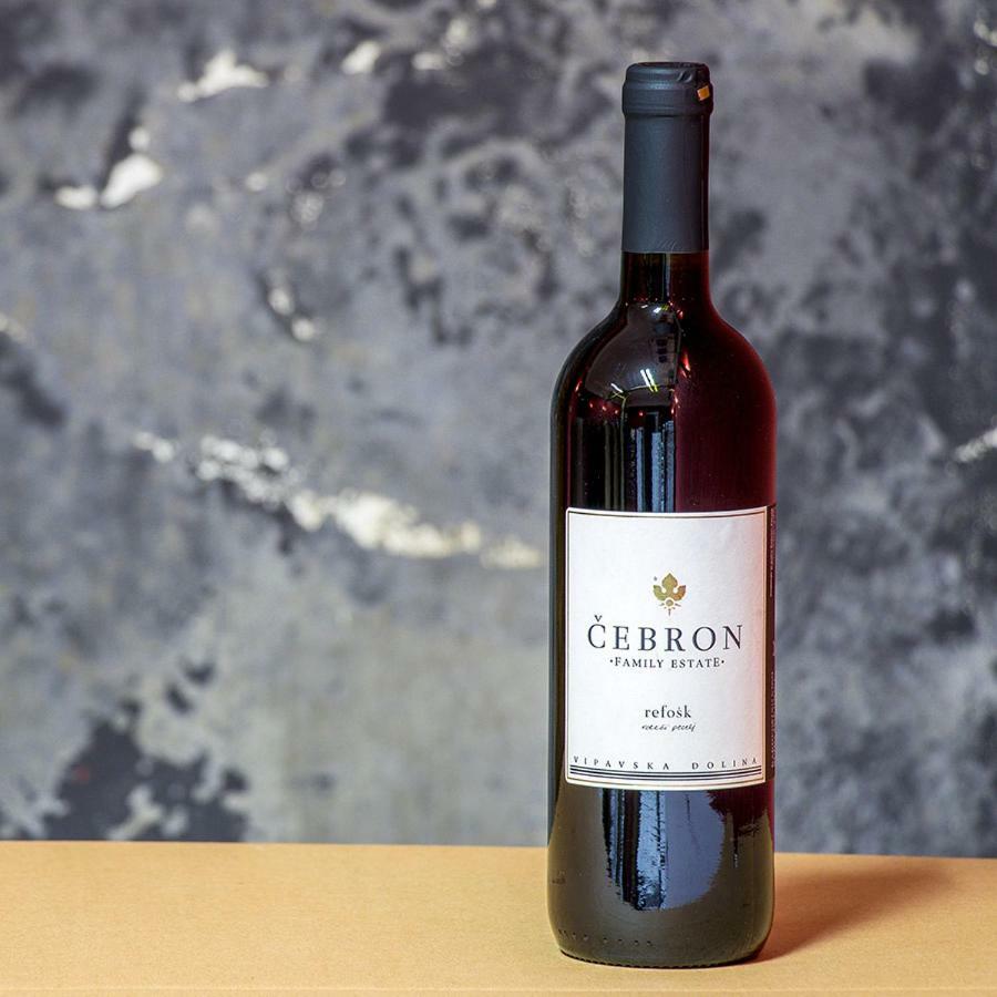Cebron Family Estate Ξενοδοχείο Branik Εξωτερικό φωτογραφία